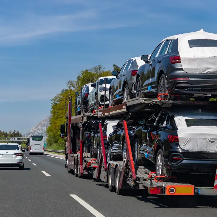 Paura sull’A2 nel Vibonese, bisarca procede a zigzag tra Mileto e Rosarno seminando il panico: l’autista era ubriaco\n