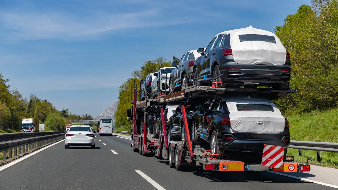 Paura sull’A2 nel Vibonese, bisarca procede a zigzag tra Mileto e Rosarno seminando il panico: l’autista era ubriaco\n
