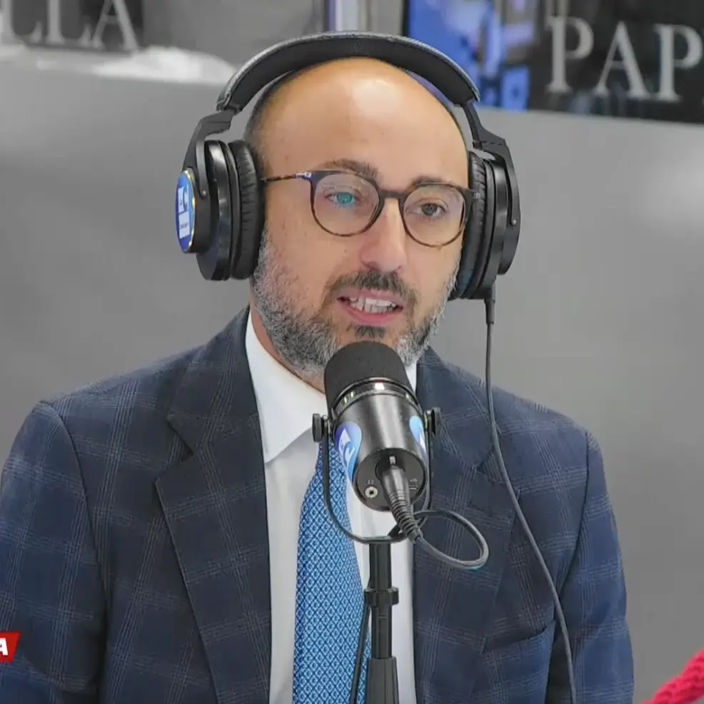 <p>Referendum sottosegretari, il costituzionalista Lollo: «Lo Statuto è la nostra “mini-Costituzione”, decidano i calabresi»</p>
