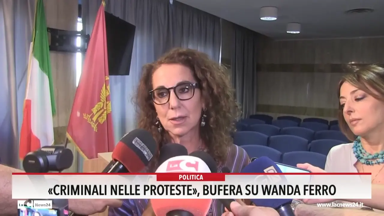 «Criminali nelle proteste»: bufera su Wanda Ferro