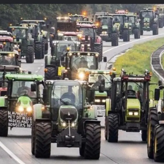 Agricoltura in crisi, il Movimento 5 Stelle di Reggio Calabria al fianco dei manifestanti\n