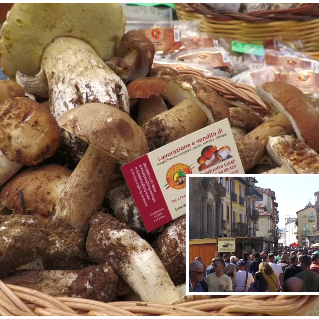 Serra San Bruno, cala il sipario sulla Festa del Fungo: successo per la XIII edizione\n