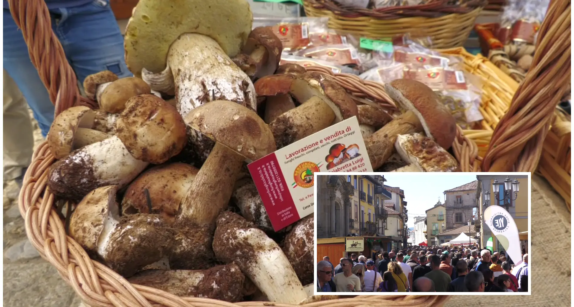 Serra San Bruno, cala il sipario sulla Festa del Fungo: successo per la XIII edizione\n