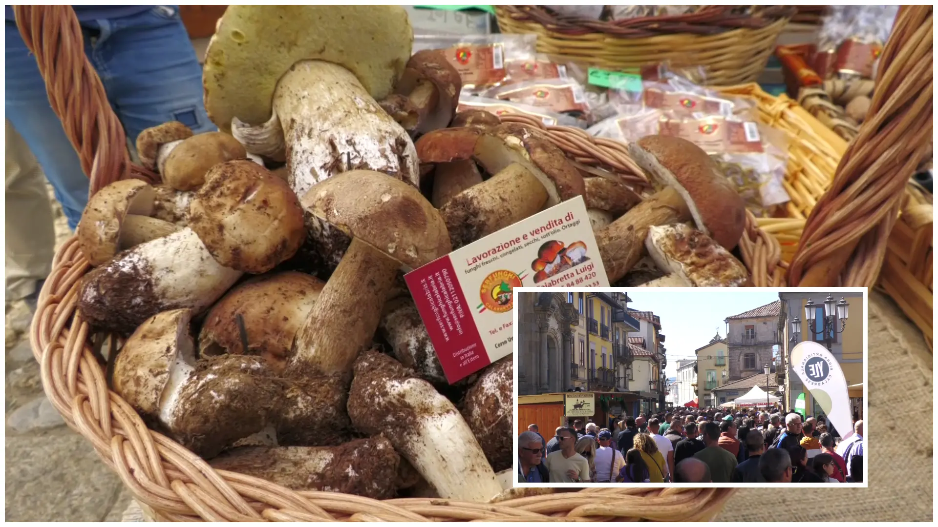 Serra San Bruno, cala il sipario sulla Festa del Fungo: successo per la XIII edizione\n