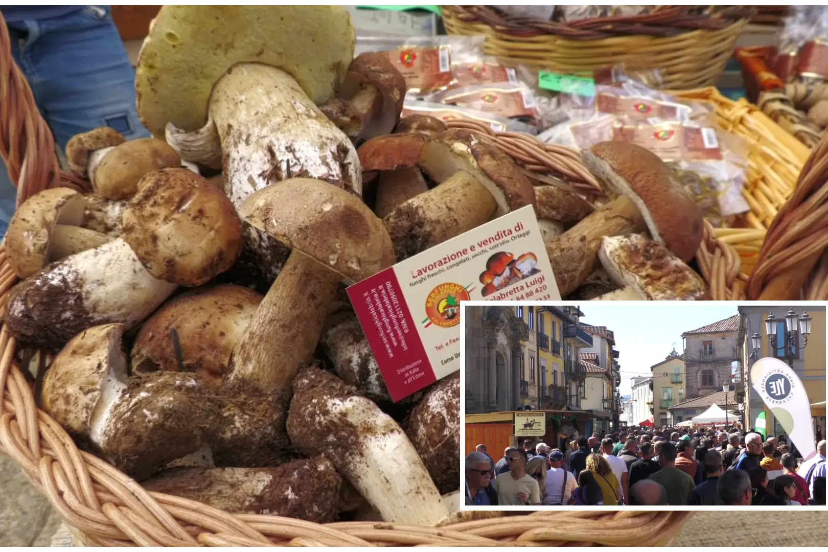 Serra San Bruno, cala il sipario sulla Festa del Fungo: successo per la XIII edizione\n