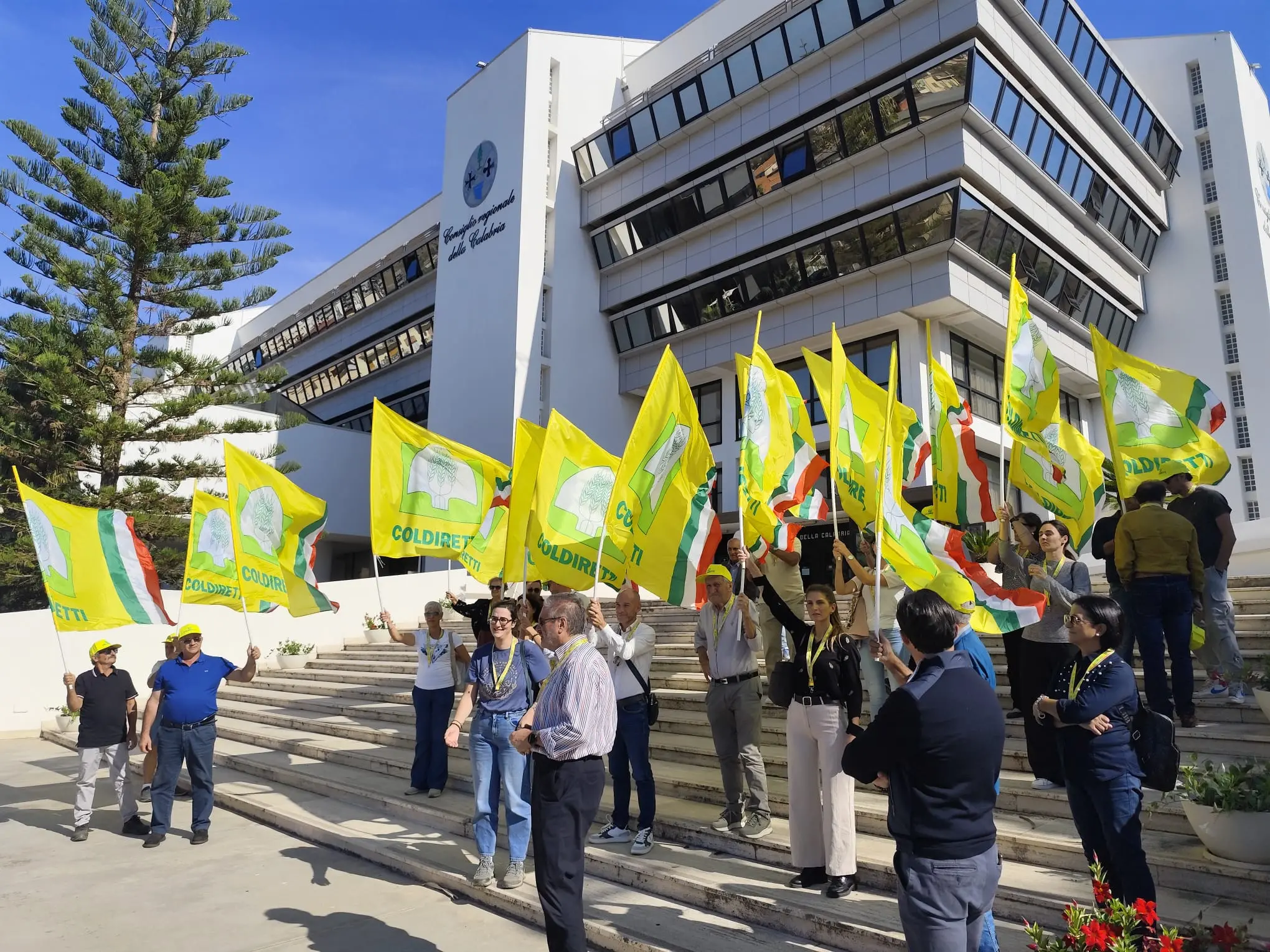 Coldiretti in sit-in a Reggio Calabria: «Senza sostegni a rischio la competitività delle aziende agricole»\n