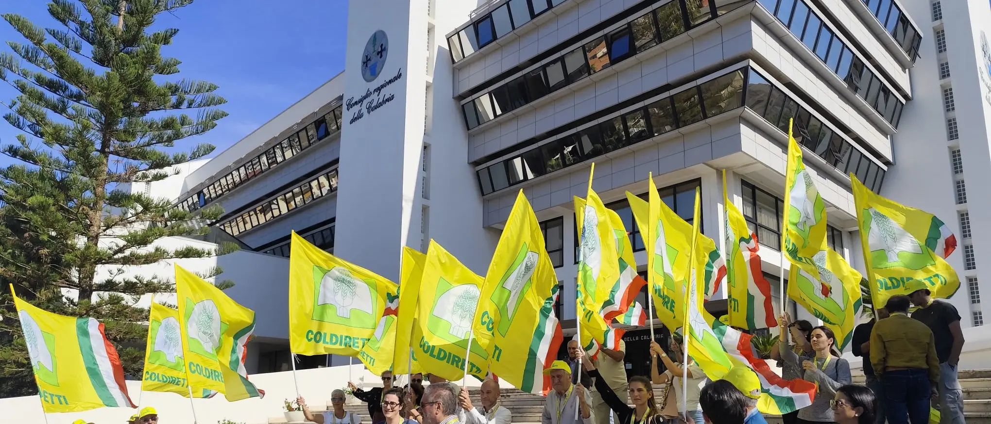 Coldiretti in sit-in a Reggio Calabria: «Senza sostegni a rischio la competitività delle aziende agricole»\n