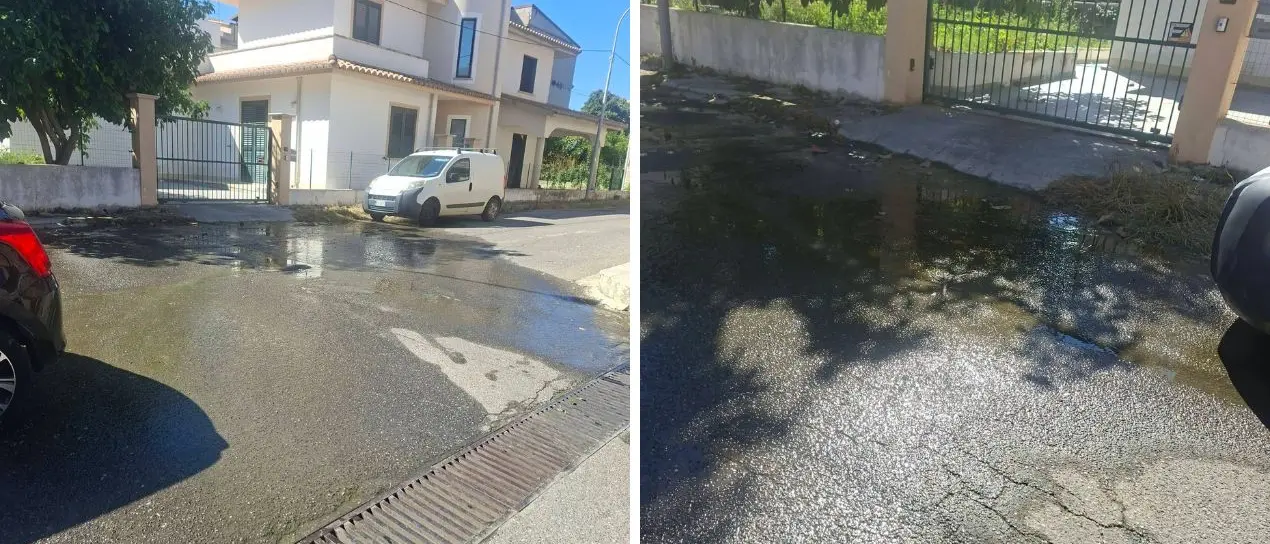 A Sciconi una perdita d’acqua lungo la strada da quasi un anno, Ri-generazione Briatico: «S’intervenga»\n