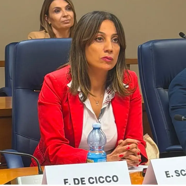 L’opposizione attacca\u00A0Occhiuto:\u00A0«La sua retromarcia sui sottosegretari è funzionale alla corsa verso la guida di Forza Italia»\n
