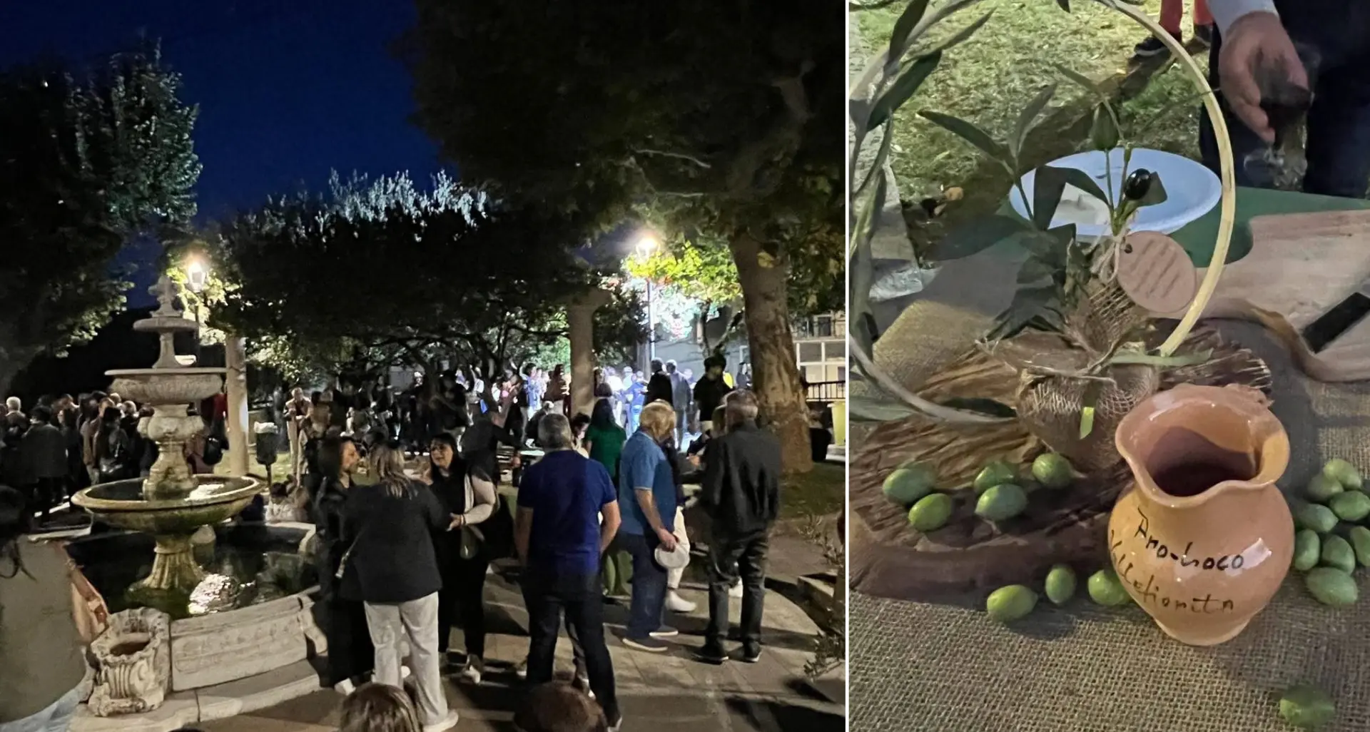 Vallefiorita, la Festa dell’Olio conquista tutti. Il sindaco Megna: «Celebrata la nostra identità»\n