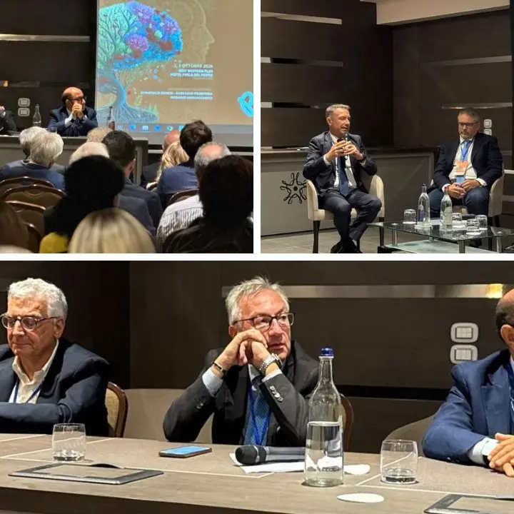 Ictus e malattie neurodegenerative, a Catanzaro la due giorni dedicata alla\u00A0ricerca e all’innovazione riscuote consensi\n