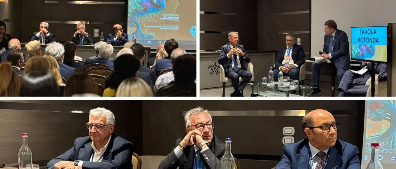 Ictus e malattie neurodegenerative, a Catanzaro la due giorni dedicata alla\u00A0ricerca e all’innovazione riscuote consensi\n