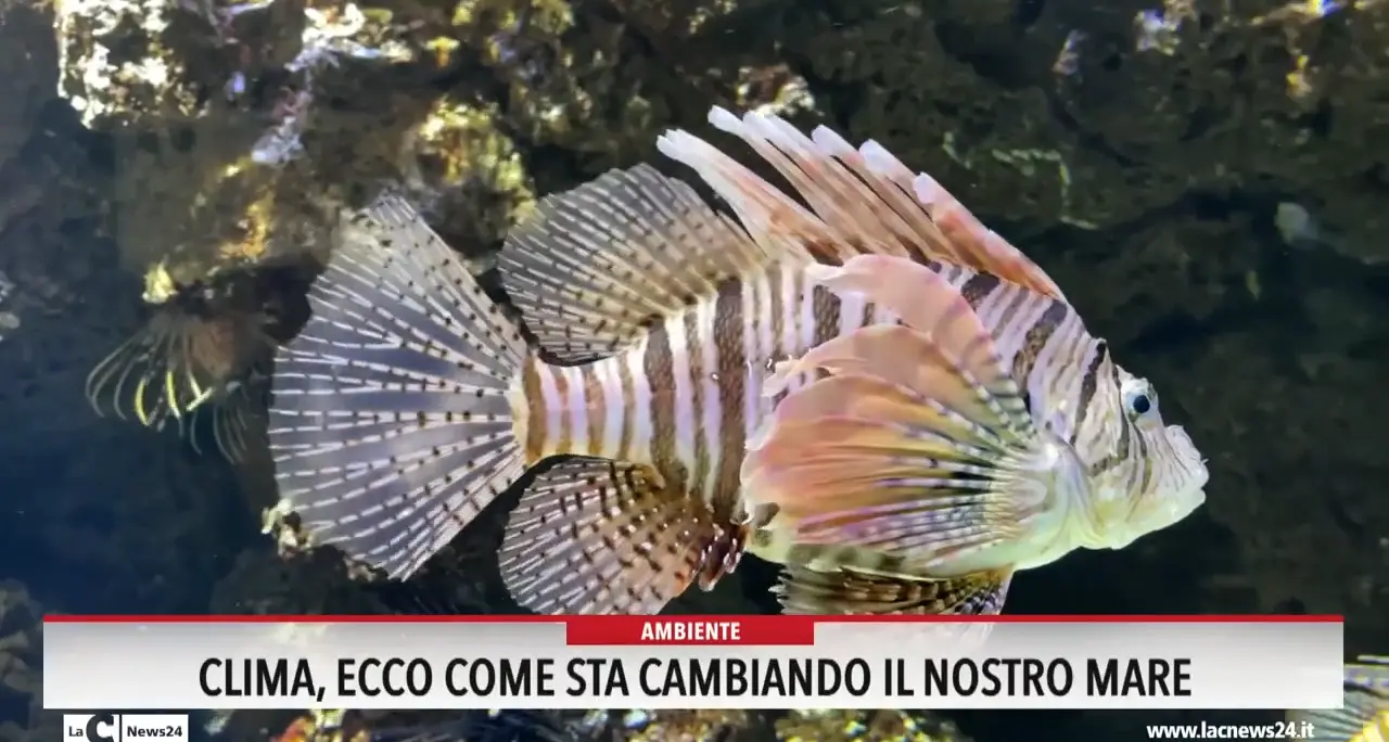 Clima, ecco come sta cambiando il nostro mare