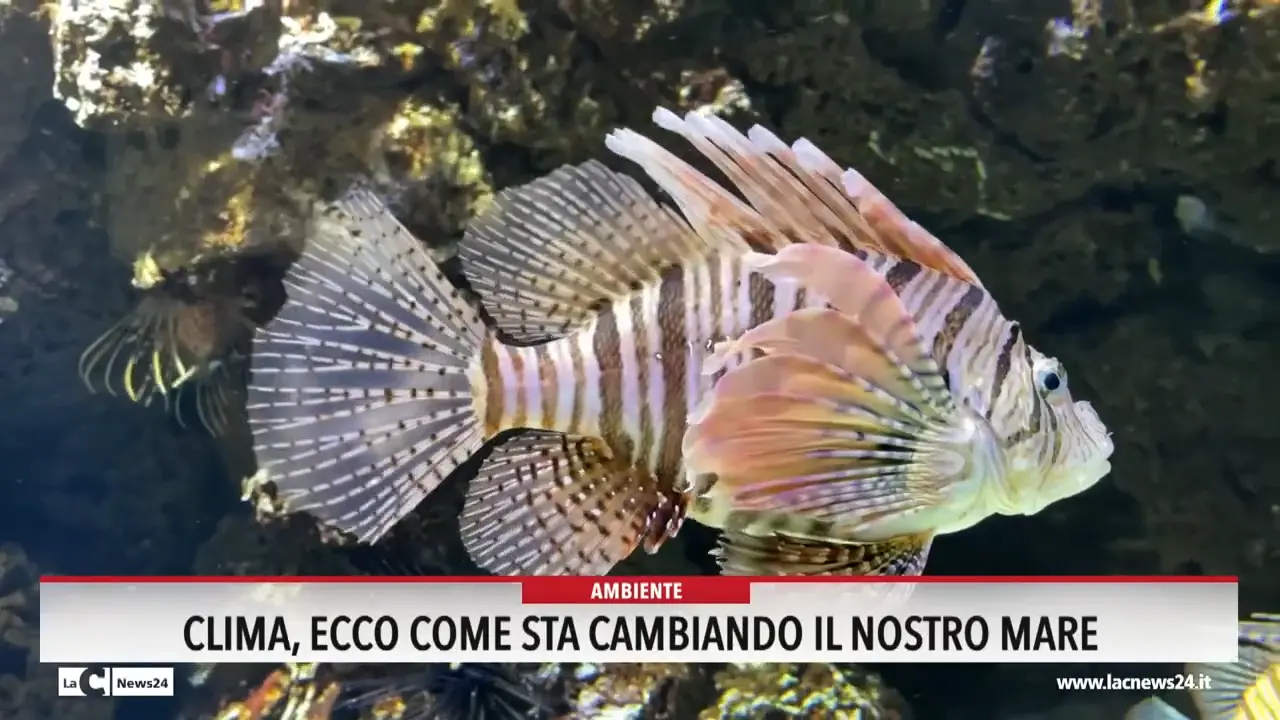 Clima, ecco come sta cambiando il nostro mare