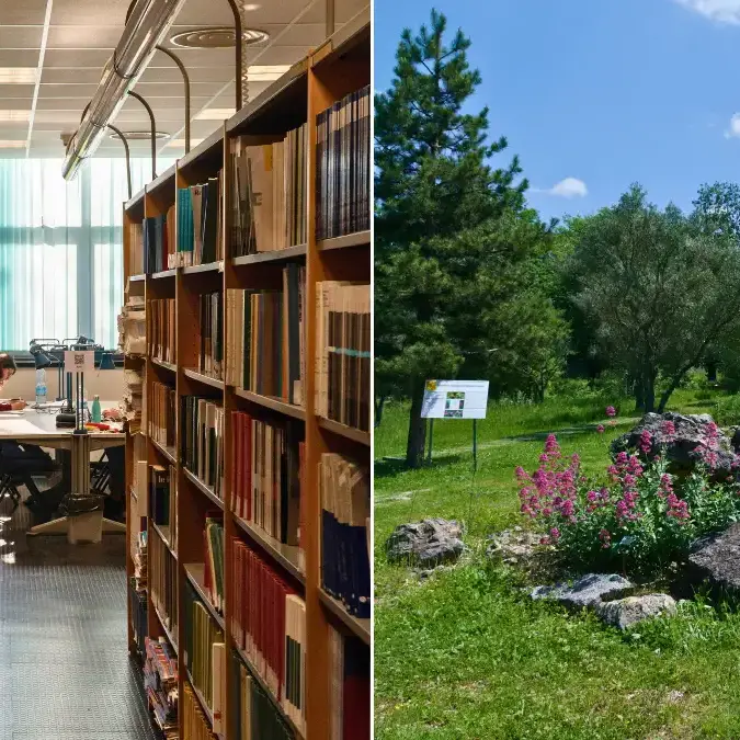 Unical, biblioteche e musei aperti anche nel weekend: dal 10 ottobre servizi disponibili sabato e domenica\n
