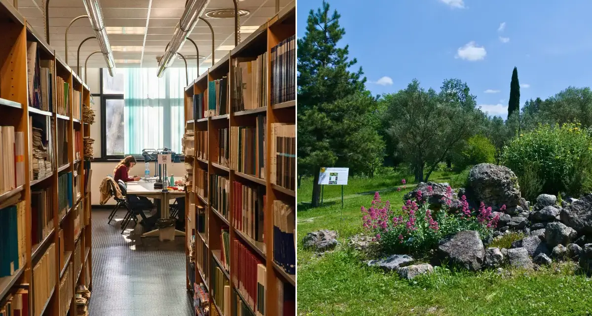Unical, biblioteche e musei aperti anche nel weekend: dal 10 ottobre servizi disponibili sabato e domenica\n
