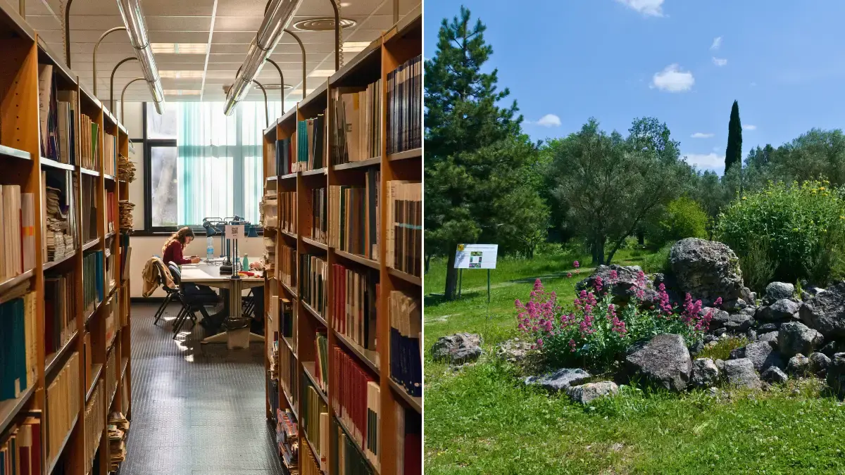 Unical, biblioteche e musei aperti anche nel weekend: dal 10 ottobre servizi disponibili sabato e domenica\n