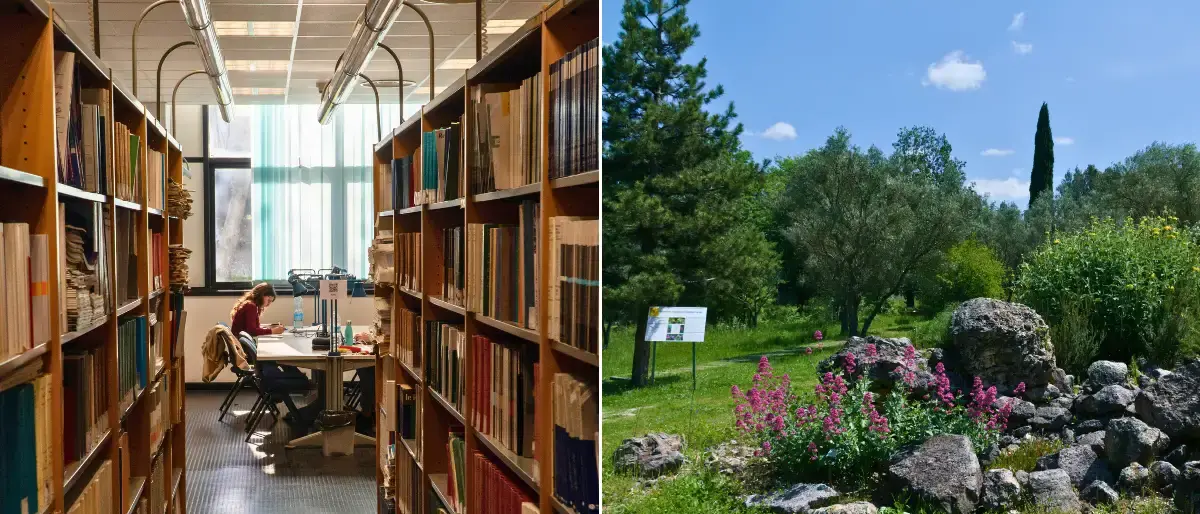 Unical, biblioteche e musei aperti anche nel weekend: dal 10 ottobre servizi disponibili sabato e domenica\n