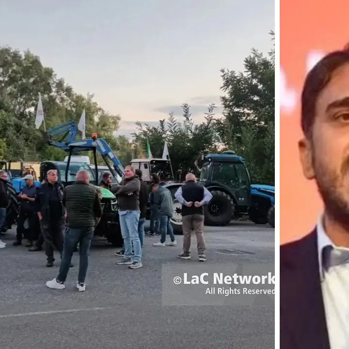 Irto: «In Calabria migliaia di lavoratori in piazza, il governo ascolti il grido di dolore»\n