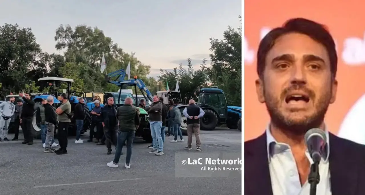 Irto: «In Calabria migliaia di lavoratori in piazza, il governo ascolti il grido di dolore»\n