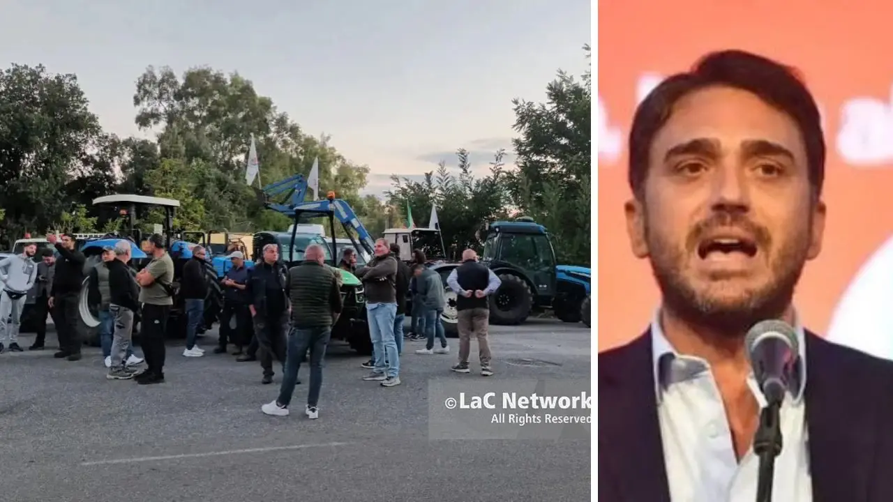 Irto: «In Calabria migliaia di lavoratori in piazza, il governo ascolti il grido di dolore»\n
