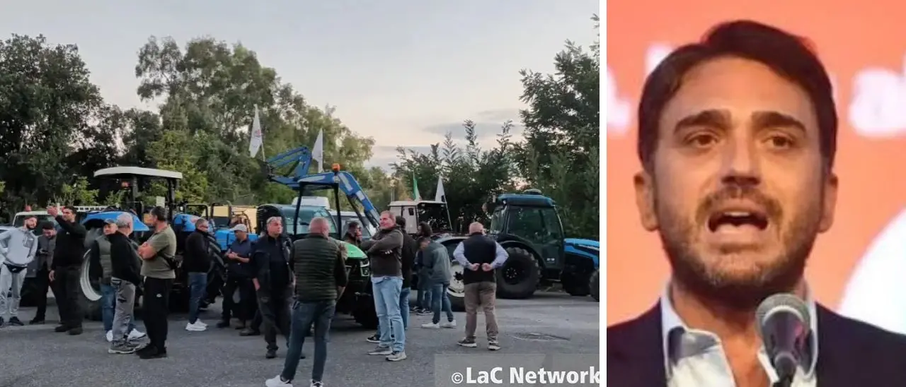 Irto: «In Calabria migliaia di lavoratori in piazza, il governo ascolti il grido di dolore»\n