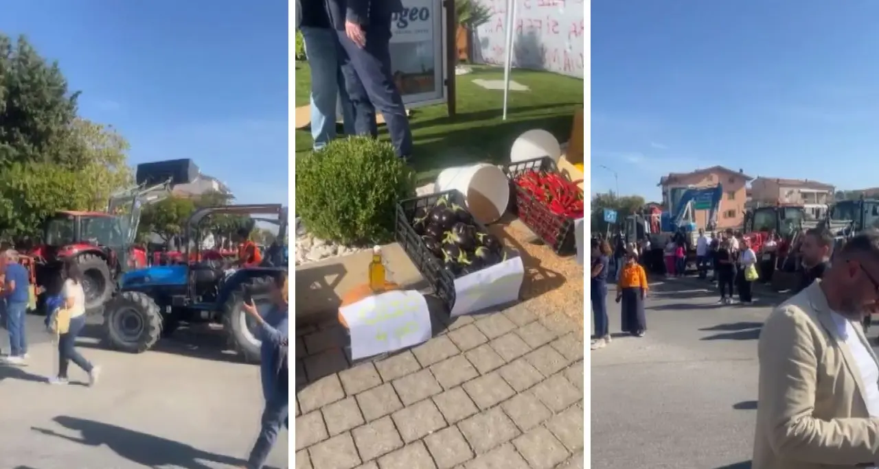 Trattori e latte versato a terra,\u00A050 mezzi e 200 agricoltori a San Marco Argentano protestano contro il caro carburante\n