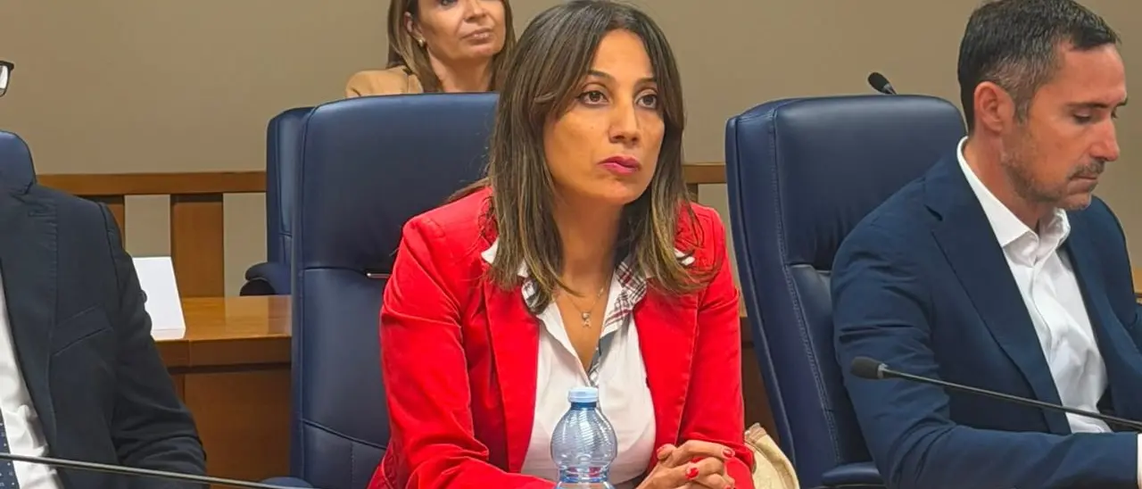 Scutellà (M5s):\u00A0«Subito un tavolo di confronto permanente fra la Regione e gli autotrasportatori calabresi»\n