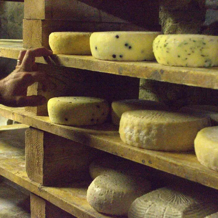 <p>L’ossessione della ’ndrangheta per le mozzarelle: il blitz dei Nas, la bustarella al bar e il formaggio \"resuscitato\"</p>