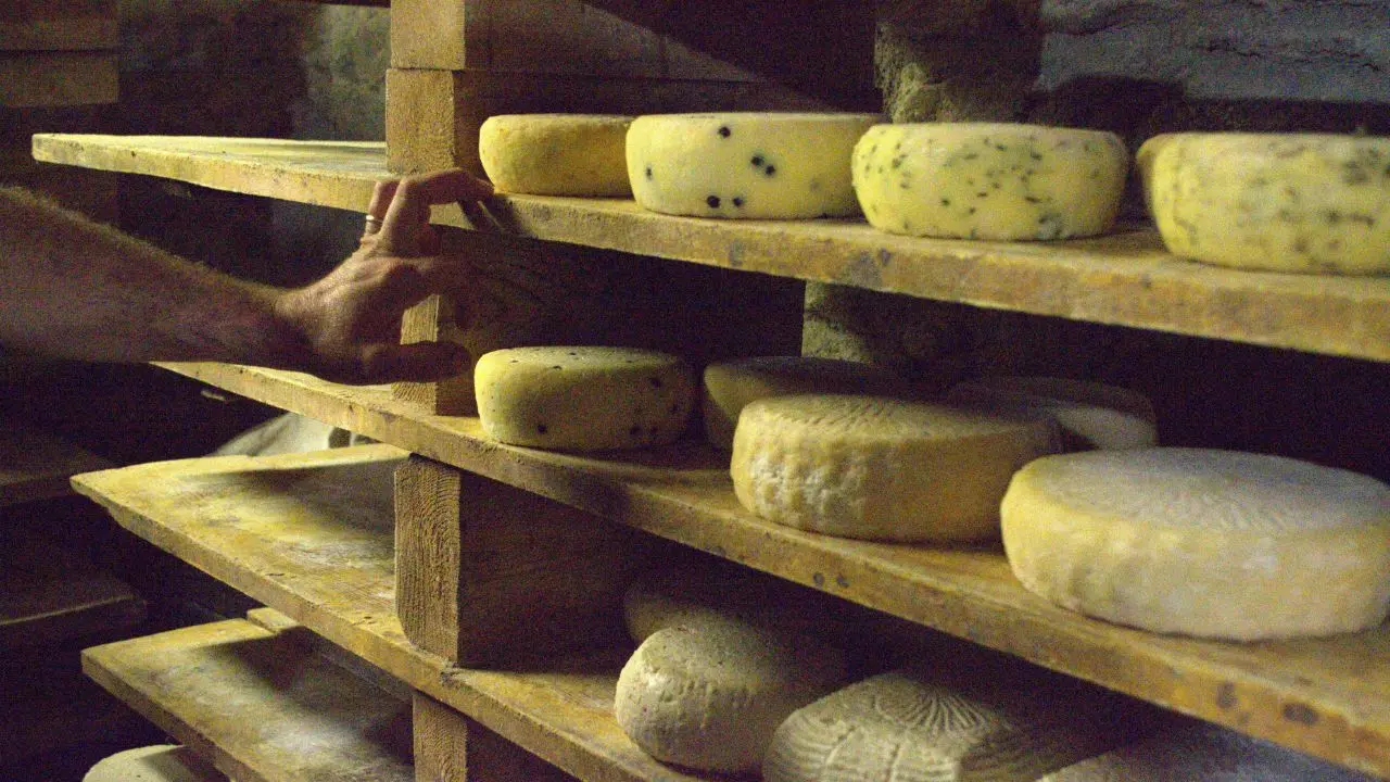 L’ossessione della ’ndrangheta per le mozzarelle: il blitz dei Nas, la bustarella al bar e il formaggio \"resuscitato\"\n