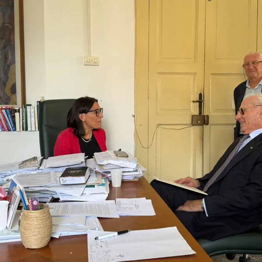 Ponte sullo Stretto, Caminiti a Ciucci: «Non superate le nostre obiezioni sul progetto»\n