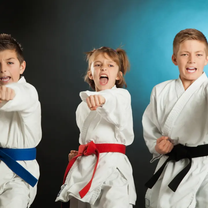 Vibo\u00A0capitale del karate: 600 atleti da 6 regioni d’Italia per un evento che unisce sport e promozione territoriale\n