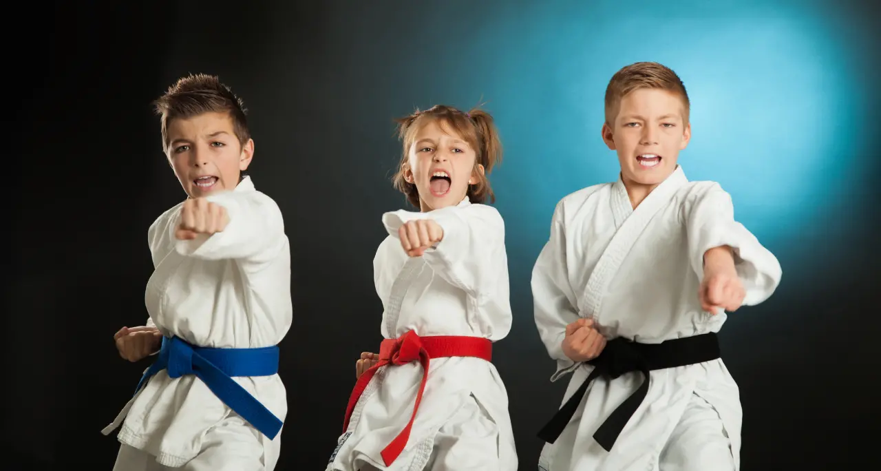 Vibo\u00A0capitale del karate: 600 atleti da 6 regioni d’Italia per un evento che unisce sport e promozione territoriale\n
