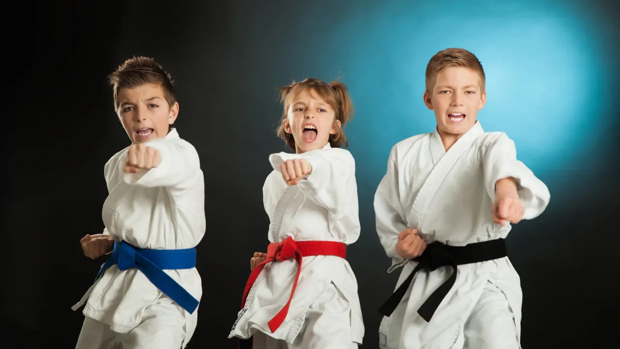 Vibo\u00A0capitale del karate: 600 atleti da 6 regioni d’Italia per un evento che unisce sport e promozione territoriale\n