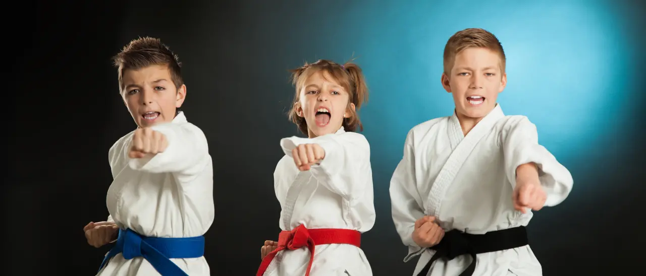 Vibo\u00A0capitale del karate: 600 atleti da 6 regioni d’Italia per un evento che unisce sport e promozione territoriale\n