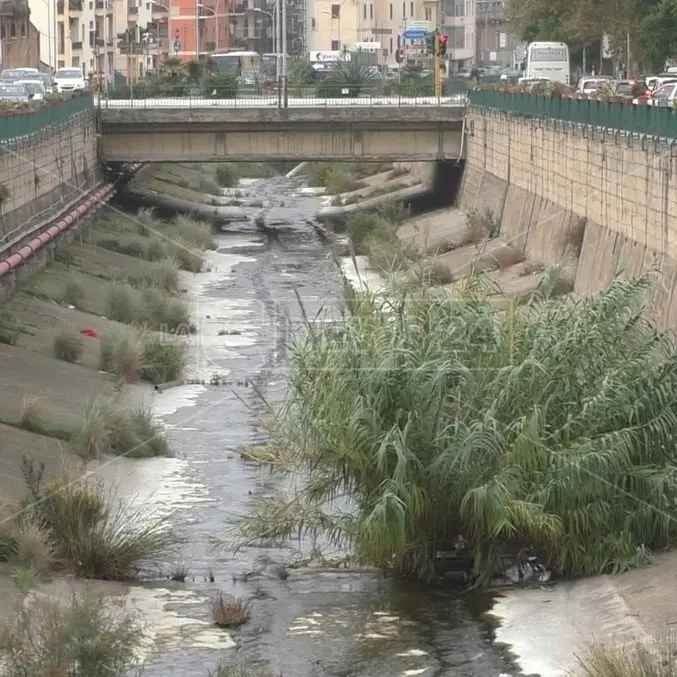 Ponte sul Calopinace, il centrosinistra: «La festa è dei reggini»\u00A0\n