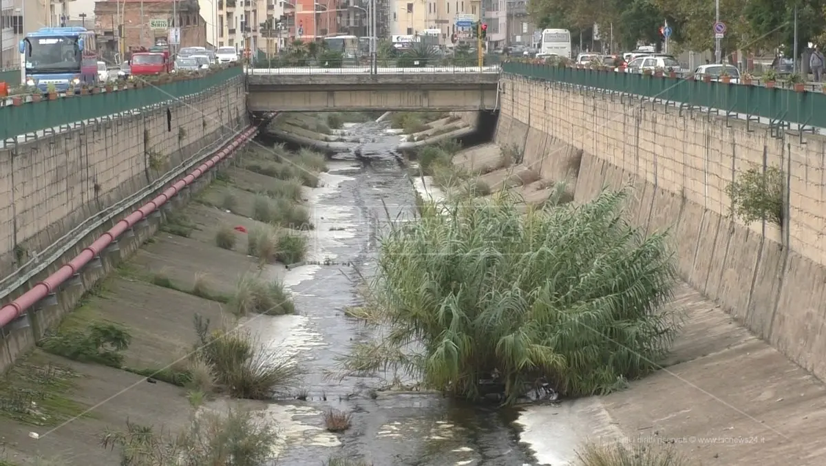 Ponte sul Calopinace, il centrosinistra: «La festa è dei reggini»\u00A0\n