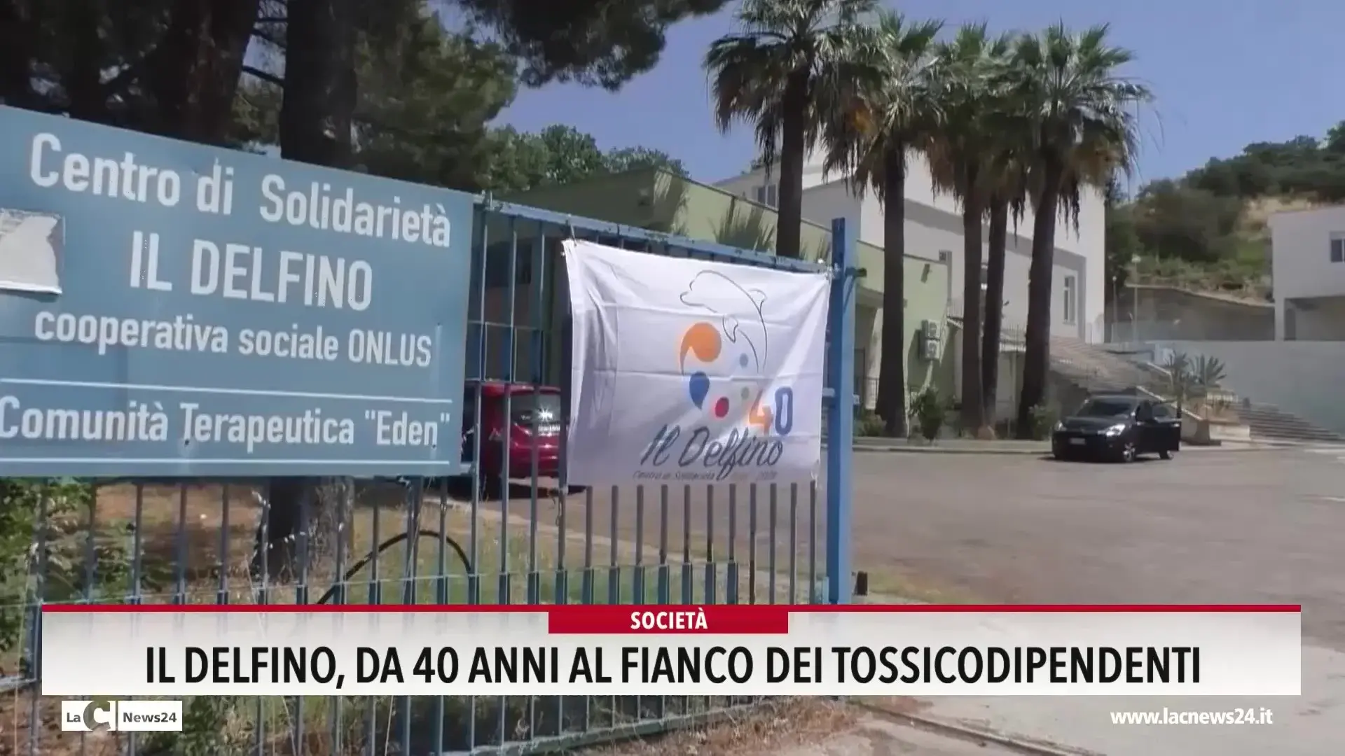 Il delfino, da 40 anni al fianco dei tossicodipendenti