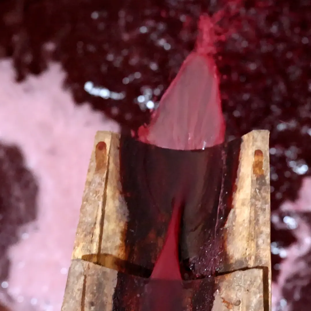 Brattirò, la tradizione del vino si rinnova con la torchiatura: il racconto a Lac Storie\n