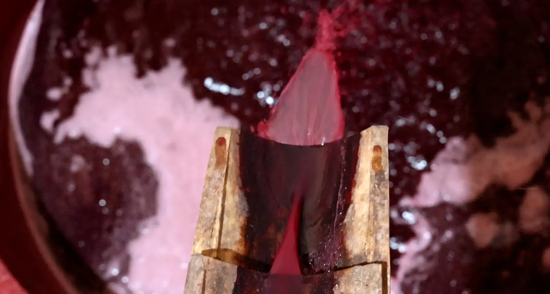 Brattirò, la tradizione del vino si rinnova con la torchiatura: il racconto a Lac Storie\n