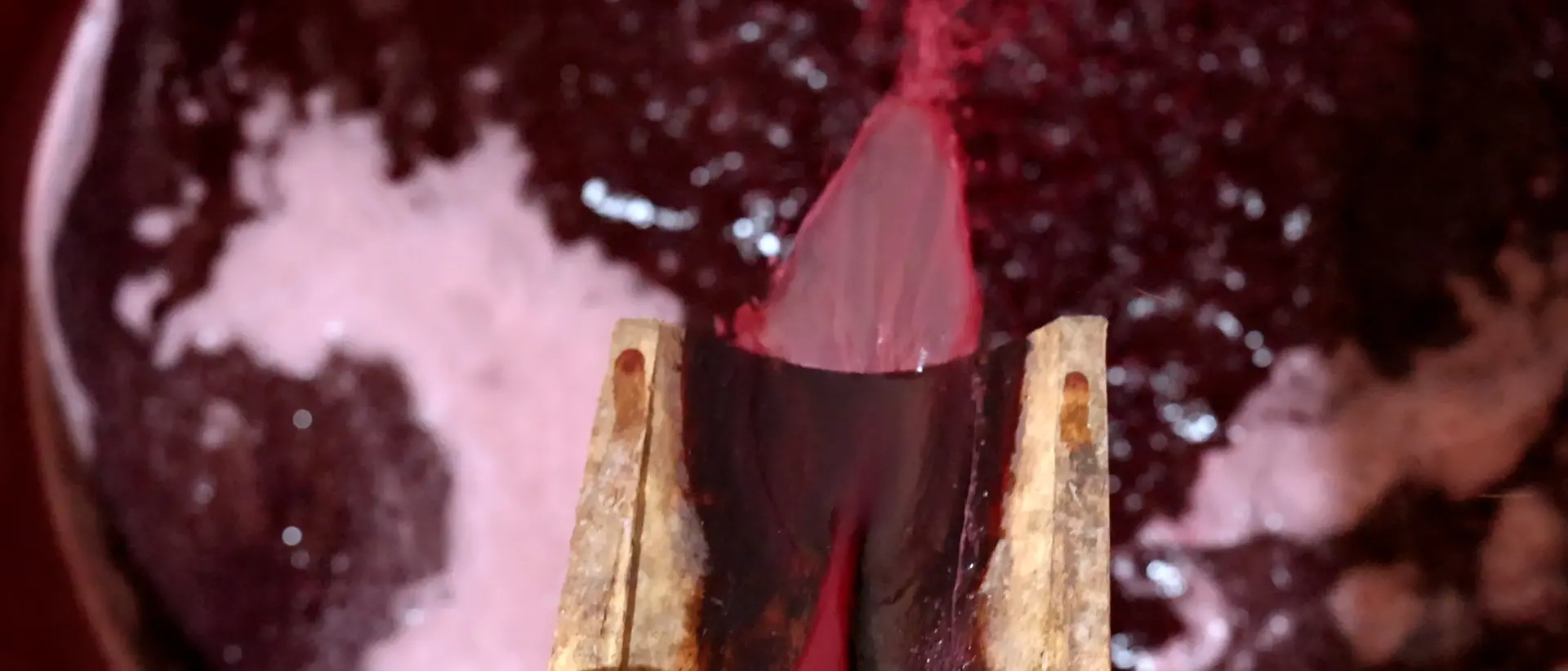 Brattirò, la tradizione del vino si rinnova con la torchiatura: il racconto a Lac Storie\n