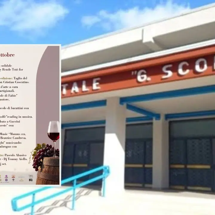 Cosenza, ecco “Visioni a 360 gradi”: il museo virtuale della galleria Nazionale realizzato dagli studenti del liceo Scorza\n