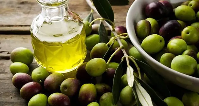 Olio calabrese, dalla protesta a una strategia: difendere chi produce significa tutelare il territorio\n