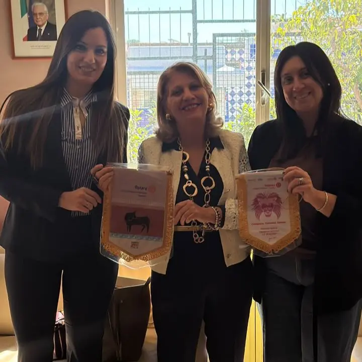 Mandatoriccio, Rotary e Rotaract donano materiale scolastico agli alunni con «Matita dopo Matita»\n