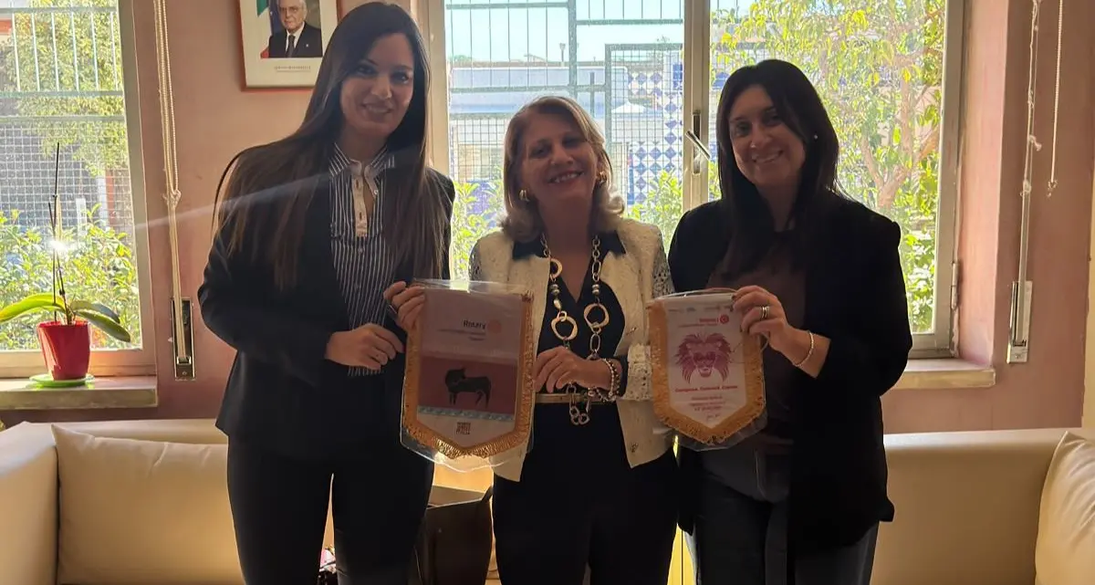 Mandatoriccio, Rotary e Rotaract donano materiale scolastico agli alunni con «Matita dopo Matita»\n