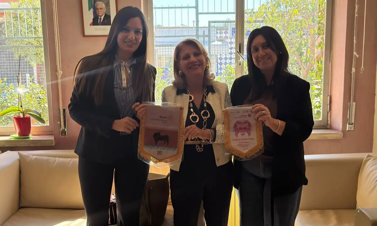 Mandatoriccio, Rotary e Rotaract donano materiale scolastico agli alunni con «Matita dopo Matita»\n
