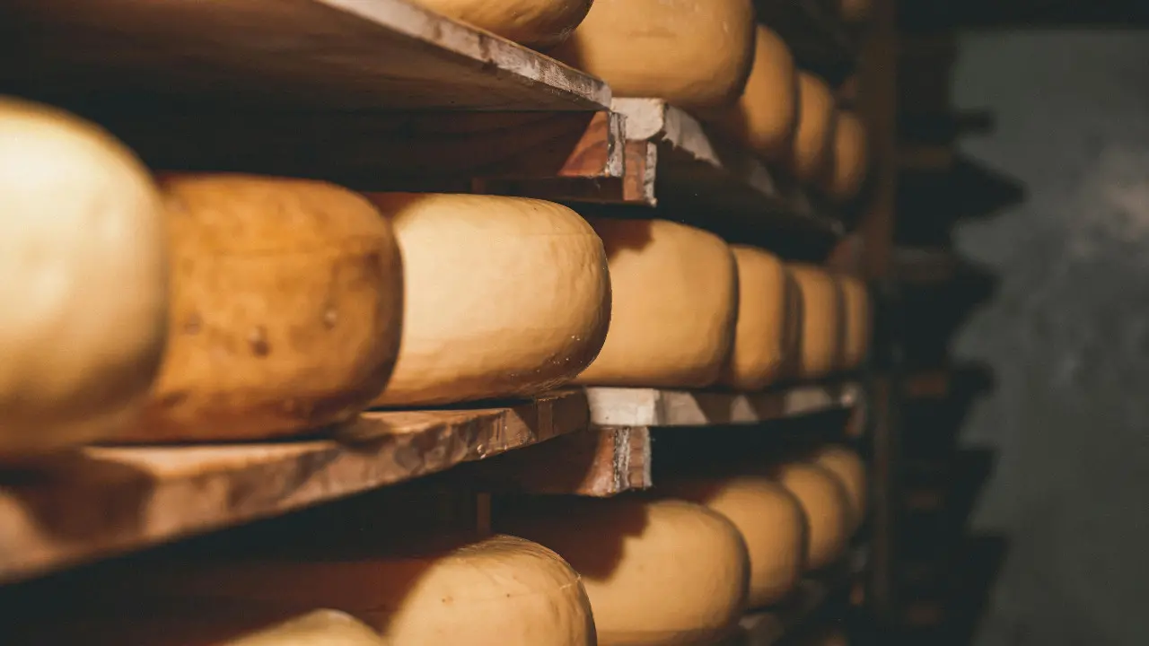 <p>L’ossessione della ’ndrangheta per il formaggio: oltre tre tonnellate da distruggere nascoste nel Vibonese dopo il blitz dei Nas</p>