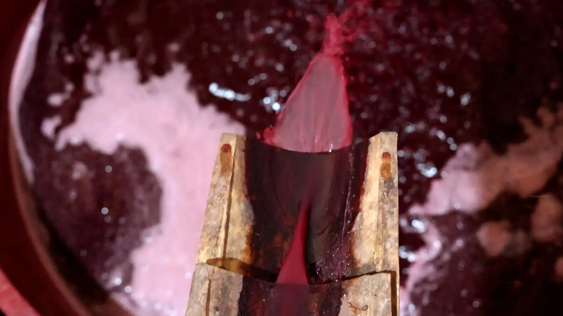 Brattirò, la tradizione del vino a Lac Storie