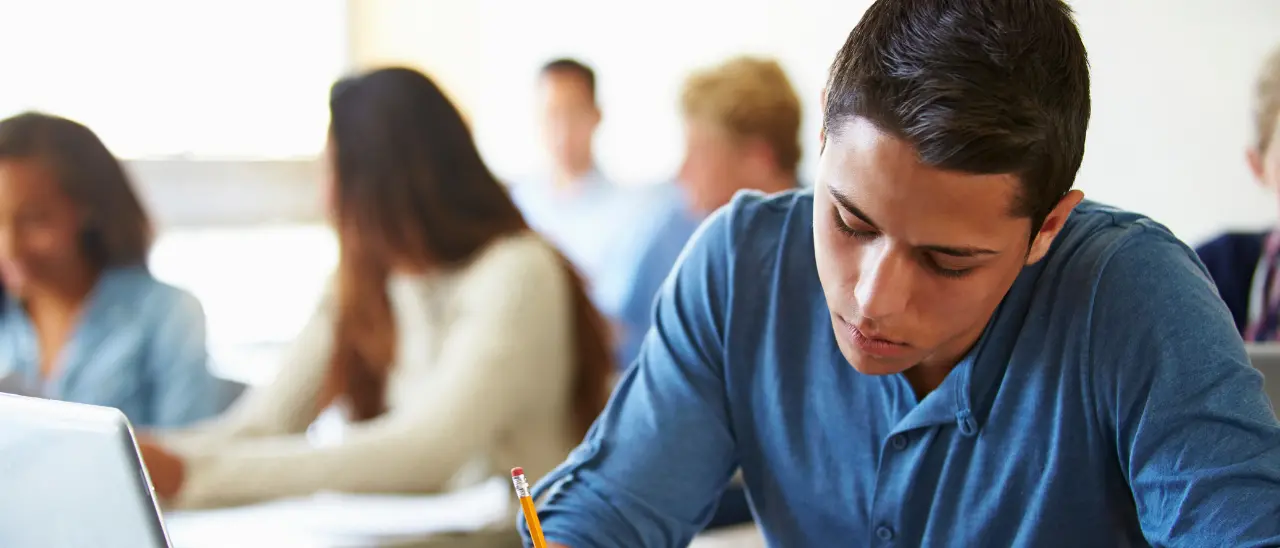 Consulte studentesche, trent’anni di rappresentanza: in Calabria la sfida è incidere sulle scelte\n