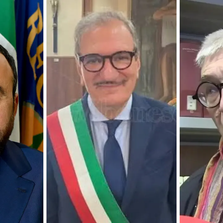 Sistema bibliotecario vibonese, Pitaro accompagna Romeo alla porta ma lui rilancia: «Le mie dimissioni? Una provocazione»\n